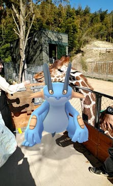 しろとり動物園に投稿された画像（2020/3/25）