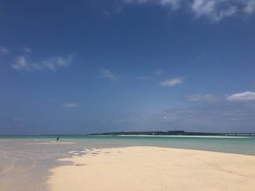 宮古島BLUE（ミヤコジマブルー）に投稿された画像（2020/3/25）