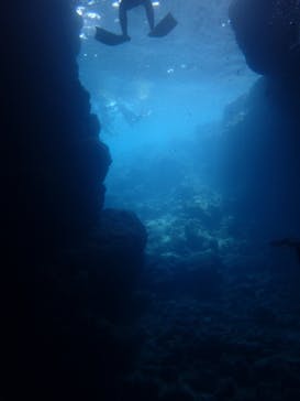 マリンクラブナギに投稿された画像（2020/3/26）