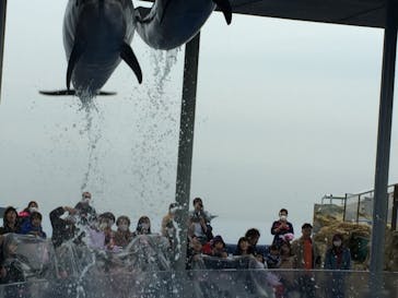 大分マリーンパレス水族館 「うみたまご」に投稿された画像（2020/3/26）