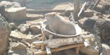 伊豆シャボテン動物公園に投稿された画像（2020/3/26）