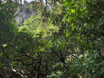 アスムイハイクスに投稿された画像（2020/3/27）