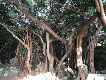 アスムイハイクスに投稿された画像（2020/3/27）