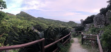 アスムイハイクスに投稿された画像（2020/3/27）