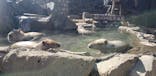 伊豆シャボテン動物公園に投稿された画像（2020/3/27）