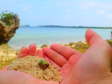 石垣島 ADVENTURE PiPi（イシガキジマアドベンチャーピピ）に投稿された画像（2020/3/27）