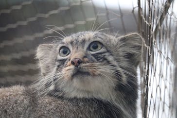 神戸どうぶつ王国に投稿された画像（2020/3/27）