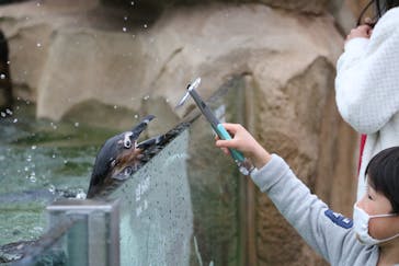 神戸どうぶつ王国に投稿された画像（2020/3/27）