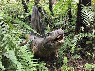 御菓子御殿　名護店　やんばる亜熱帯の森DINO恐竜PARKに投稿された画像（2020/3/27）