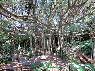 アスムイハイクスに投稿された画像（2020/3/27）