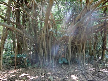 アスムイハイクスに投稿された画像（2020/3/27）