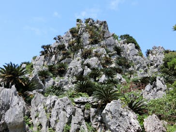 アスムイハイクスに投稿された画像（2020/3/27）