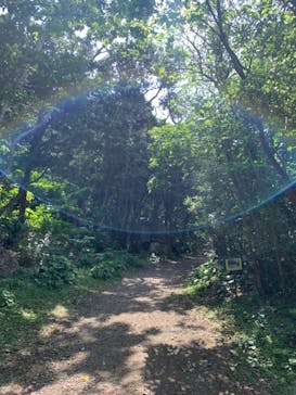 アスムイハイクスに投稿された画像（2020/3/27）