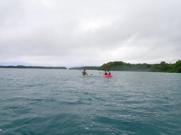 石垣島 ADVENTURE PiPi（イシガキジマアドベンチャーピピ）に投稿された画像（2020/3/28）