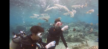 武藤潜水に投稿された画像（2020/3/28）