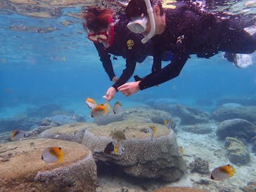 B-nature（ビーネイチャー）に投稿された画像（2020/3/28）