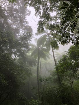 アイランドサービスに投稿された画像（2020/3/28）