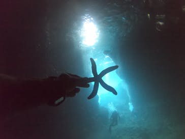 青の洞窟専門店　沖縄ダイビングショップ和に投稿された画像（2020/3/28）