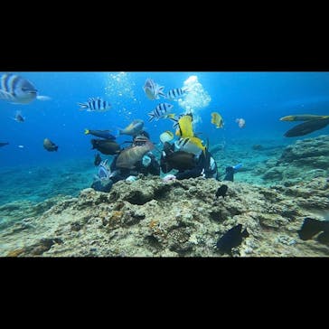 青の洞窟専門店　沖縄ダイビングショップ和に投稿された画像（2020/3/28）