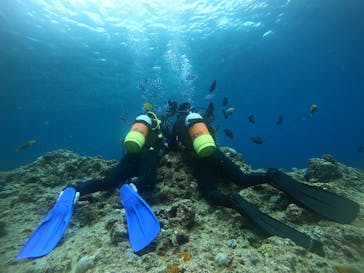 青の洞窟専門店　沖縄ダイビングショップ和に投稿された画像（2020/3/28）