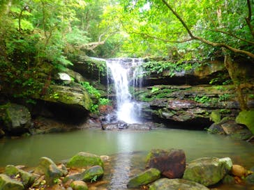 西表島 ADVENTURE PiPi（アドベンチャーピピ）に投稿された画像（2020/3/29）