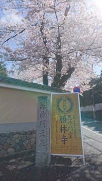 東福寺塔頭 勝林寺に投稿された画像（2020/3/29）