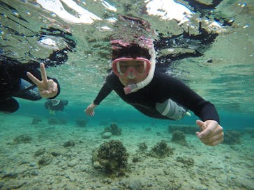 武藤潜水に投稿された画像（2020/3/30）