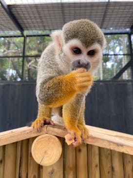 美らヤシパークオキナワ・東南植物楽園に投稿された画像（2020/3/30）