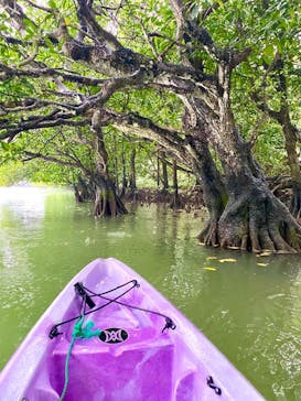 CHOROに投稿された画像（2020/3/30）