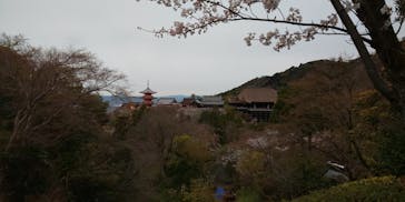 ニデック京都タワーに投稿された画像（2020/3/30）