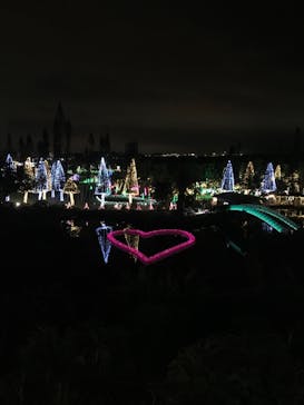 美らヤシパークオキナワ・東南植物楽園に投稿された画像（2020/3/31）