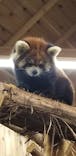 伊豆シャボテン動物公園に投稿された画像（2020/3/31）