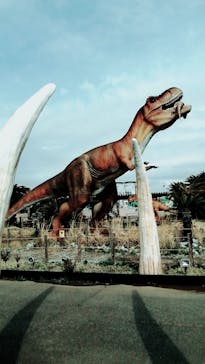 伊豆ぐらんぱる公園に投稿された画像（2020/3/31）