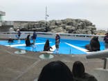 大分マリーンパレス水族館 「うみたまご」に投稿された画像（2020/3/31）