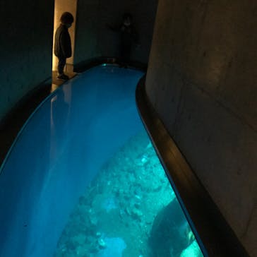 大分マリーンパレス水族館 「うみたまご」に投稿された画像（2020/3/31）