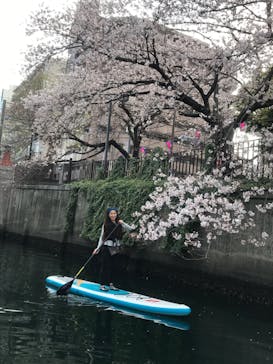 水辺荘に投稿された画像（2020/3/31）