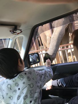 東北サファリパークに投稿された画像（2020/3/31）