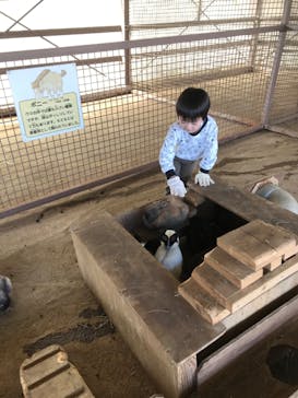 東北サファリパークに投稿された画像（2020/3/31）