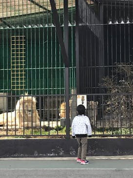 東北サファリパークに投稿された画像（2020/3/31）