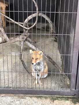 東北サファリパークに投稿された画像（2020/3/31）