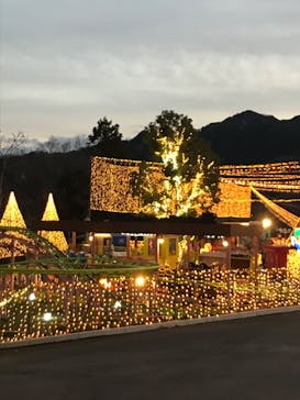 さがみ湖MORI MORIに投稿された画像（2020/3/31）