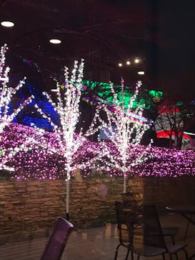 さがみ湖MORI MORIに投稿された画像（2020/3/31）