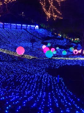 さがみ湖MORI MORIに投稿された画像（2020/3/31）