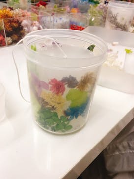 ずこうしつ〜sugamo〜に投稿された画像（2020/4/1）