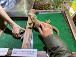 体感型動物園iZooに投稿された画像（2020/4/1）