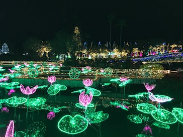 美らヤシパークオキナワ・東南植物楽園に投稿された画像（2020/4/1）