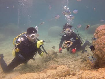 ダイブロックに投稿された画像（2020/4/2）