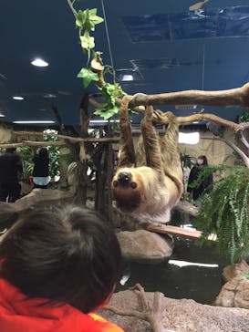 那須どうぶつ王国に投稿された画像（2020/4/2）