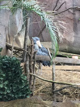 那須どうぶつ王国に投稿された画像（2020/4/2）