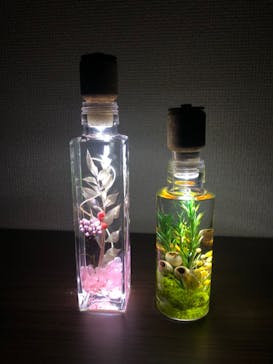 ずこうしつ〜sugamo〜に投稿された画像（2020/4/2）